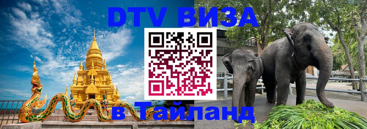 DTV (ДТВ) visa Таиланд 